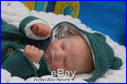 Pbn Yvonne Etheridge Reborn Doll Realborn Quinn Asleep By Bountiful Baby 0118