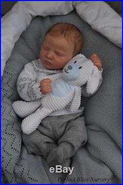 Pbn Yvonne Etheridge Reborn Doll Realborn Quinn Asleep By Bountiful Baby 0218