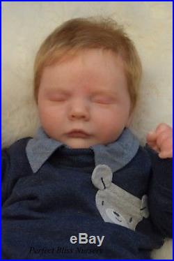 Pbn Yvonne Etheridge Reborn Doll Realborn Reese Asleep By Bountiful Baby 0118