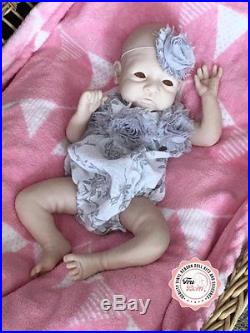 Pre-Order FOR Baby Aster Doll Kit by Toby Morgan LE 300 NEW RELEASE KIT. JNR