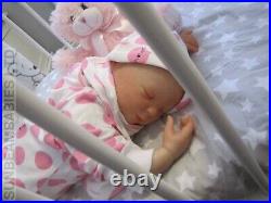 Real Reborn Doll 20 Bountiful Baby Girl Rose By Dan At Sunbeambabies Ghsp 5lbs