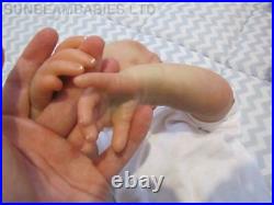 Real Reborn Doll 20 Bountiful Baby Girl Rose By Dan At Sunbeambabies Ghsp 5lbs