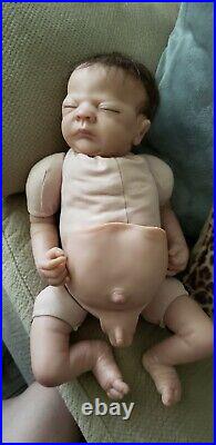 Reborn Ashton Drake Doll Charlie Linda Webb, Weighted Cloth Body, Soft Vinyl