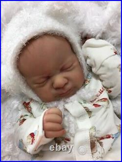 Reborn Baby Art Doll Authentic Reborn Azalea By Aura Lee Eagle Mocro Rooted