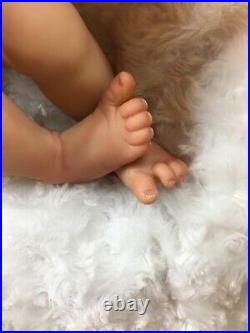 Reborn Baby Art Doll Authentic Reborn Azalea By Aura Lee Eagle Mocro Rooted