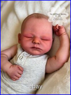 Reborn Baby Carter By Ashten Bryant Reborn Baby Carter By Ashten Bryant