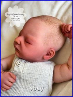 Reborn Baby Carter By Ashten Bryant Reborn Baby Carter By Ashten Bryant
