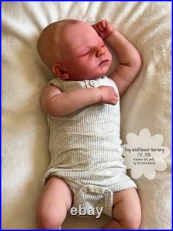 Reborn Baby Carter By Ashten Bryant Reborn Baby Carter By Ashten Bryant