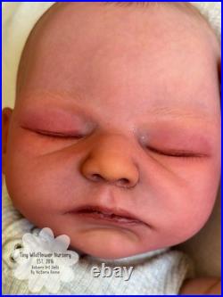 Reborn Baby Carter By Ashten Bryant Reborn Baby Carter By Ashten Bryant