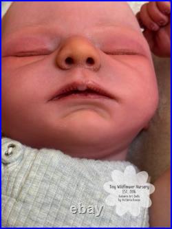 Reborn Baby Carter By Ashten Bryant Reborn Baby Carter By Ashten Bryant