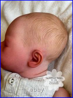 Reborn Baby Carter By Ashten Bryant Reborn Baby Carter By Ashten Bryant