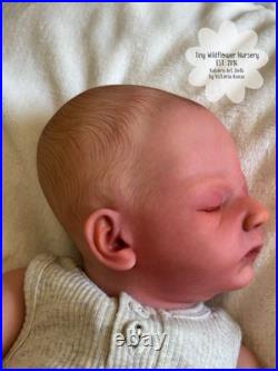 Reborn Baby Carter By Ashten Bryant Reborn Baby Carter By Ashten Bryant