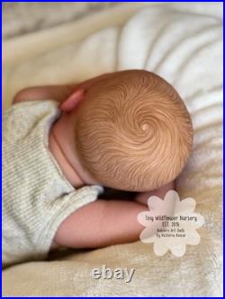 Reborn Baby Carter By Ashten Bryant Reborn Baby Carter By Ashten Bryant