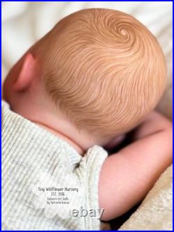 Reborn Baby Carter By Ashten Bryant Reborn Baby Carter By Ashten Bryant