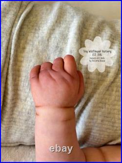 Reborn Baby Carter By Ashten Bryant Reborn Baby Carter By Ashten Bryant