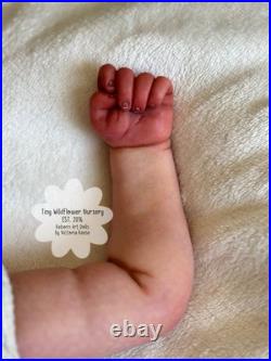 Reborn Baby Carter By Ashten Bryant Reborn Baby Carter By Ashten Bryant