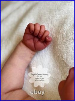 Reborn Baby Carter By Ashten Bryant Reborn Baby Carter By Ashten Bryant