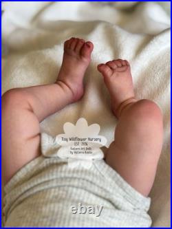 Reborn Baby Carter By Ashten Bryant Reborn Baby Carter By Ashten Bryant
