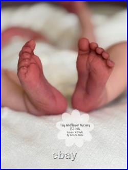 Reborn Baby Carter By Ashten Bryant Reborn Baby Carter By Ashten Bryant