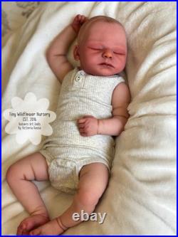 Reborn Baby Carter By Ashten Bryant Reborn Baby Carter By Ashten Bryant