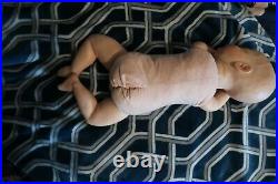 Reborn Baby Doll Evelyn Sculpt by Cassie Brace Reborn by Tracy Ann Lister
