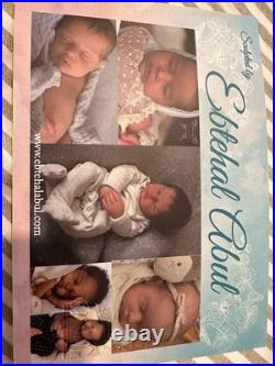 Reborn Baby Girl With Certificate Of Authenticity Full Limb Painted &Rooted Hair