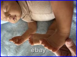 Reborn Baby Girl With Certificate Of Authenticity Full Limb Painted &Rooted Hair