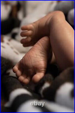 Reborn Baby, rooted hair, newborn, 4/4 arms and legs, upper torso detail