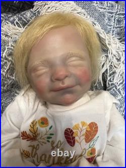 Reborn Baby with Hand Rooted Hair And Soft Body