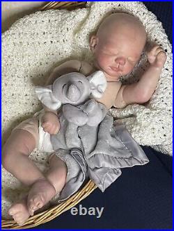 Reborn baby dolls pre owned