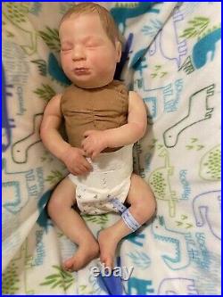 Reborn baby dolls twins boy girl