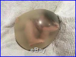 Revolutionary Womb Baby Reborn Doll