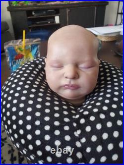 Stunning Reborn Doll With Coa Laura