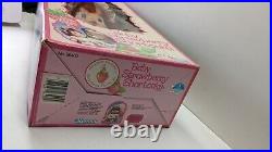 Vintage Box 1982 Baby Strawberry Shortcake Blow Kiss Blowkiss Kisses Doll Read