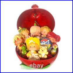 Vintage Strawberry Shortcake ALL 6 Baby Friends + Pets Collector Set- Cleaned Vintage Strawberry Shortcake ALL 6 Baby Friends + Pets Collector Set- Cleaned