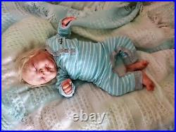 WILBY SOLE RARE Reborn Baby Doll by Cassie Brace291/500 COA GORGEOUS