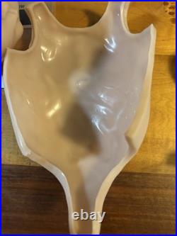 WILL Reborn Doll by Natalie Scholl with COA Limited Edition Signed