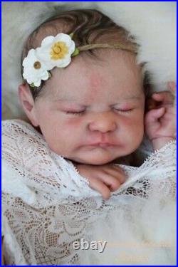 Willing To Trade SOLE Reborn Baby Doll (KIT) Mireya By Sheila Mrofka